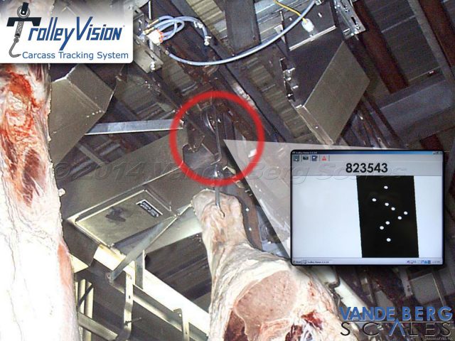 Trolley Vision beef carcass tracking system showing trolley strap